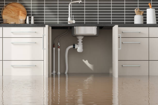 Best Local water damage restoration  in Bowling Green, FL