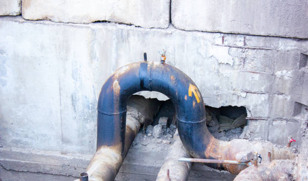 Best Water damage restoration specialists  in Bowling Green, FL