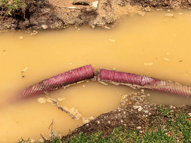 Water damage restoration mold remediation in Bowling Green, FL