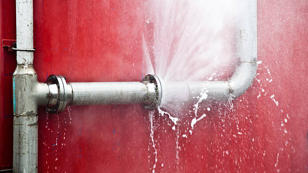 Best Flood restoration services  in Bowling Green, FL